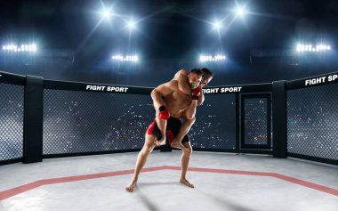 MMA dövüşçüleri. Dövüş Şampiyonası.
