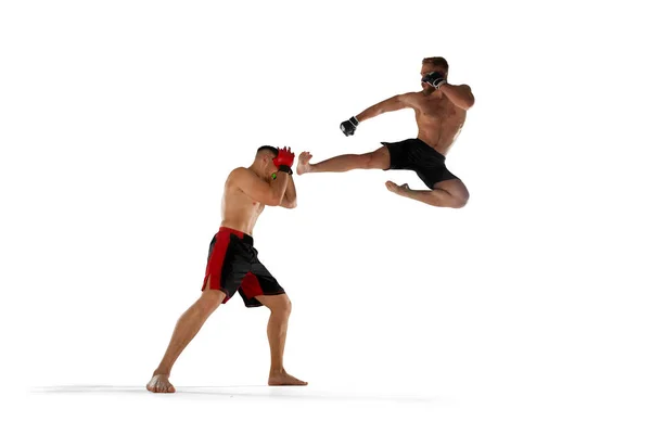 Mma Fighters Isolated White — Stock Photo, Image