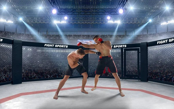 Μαχητές Mma Πρωτάθλημα Πάλης — Φωτογραφία Αρχείου