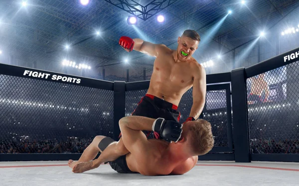 Μαχητές Mma Πρωτάθλημα Πάλης — Φωτογραφία Αρχείου