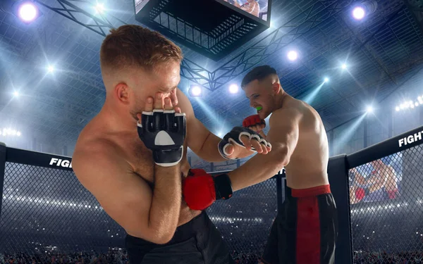 Combatientes Mma Campeonato Lucha — Foto de Stock