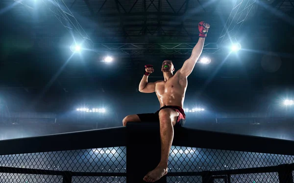 MMA dövüşçüsü. Dövüş Şampiyonası.