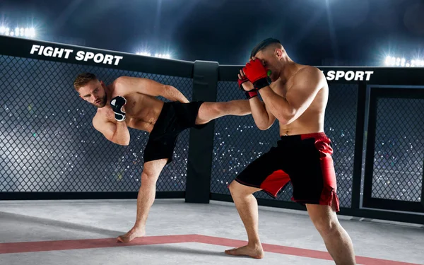 Combattenti Dell Mma Campionato Lotta — Foto Stock