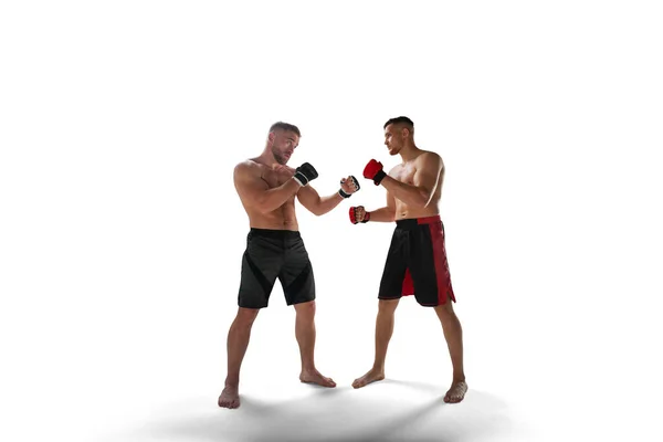 Mma Fighters Isolated White — Stock Photo, Image