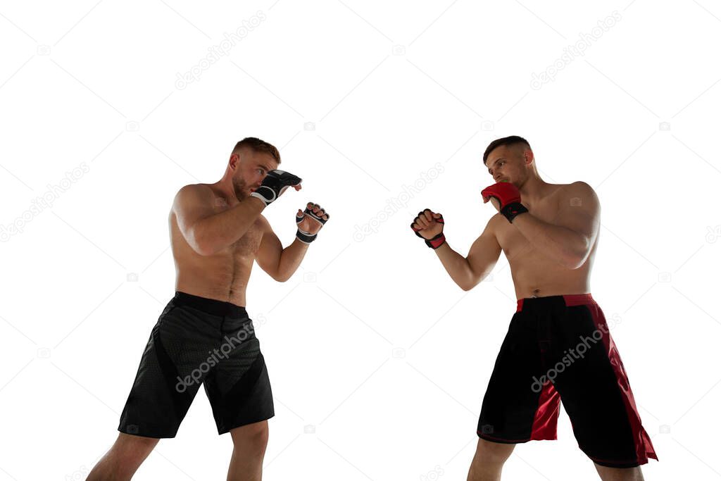 MMA fighters isolated on white.