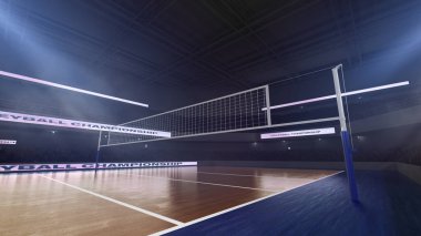 Profesyonel voleybol stadyumu.