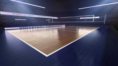 Profesyonel voleybol stadyumu.