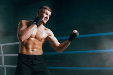 Profesyonel dövüşçü ringde..