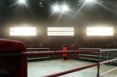 Spor salonunda boks ringleri boş..