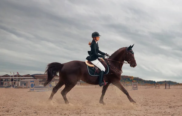 Hästsport Kvinnlig Ridhäst — Stockfoto