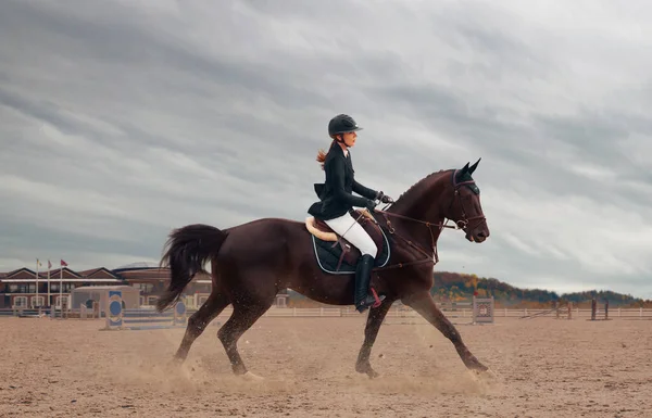 Sport Équestre Femme Cheval Équitation — Photo