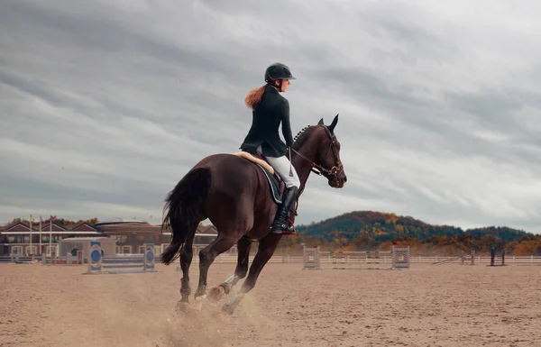 Sport Équestre Femme Cheval Équitation — Photo