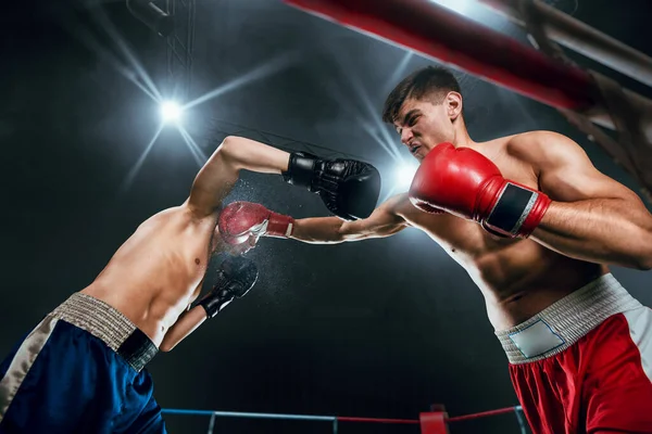 Dois Jovens Lutando Boxe — Fotografia de Stock