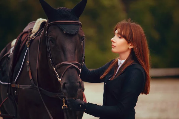 Sport Équestre Femme Cheval Équitation — Photo