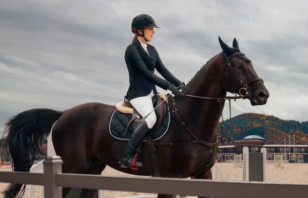 Hevosurheilua Nainen Ratsastaa Hevosella — kuvapankkivalokuva