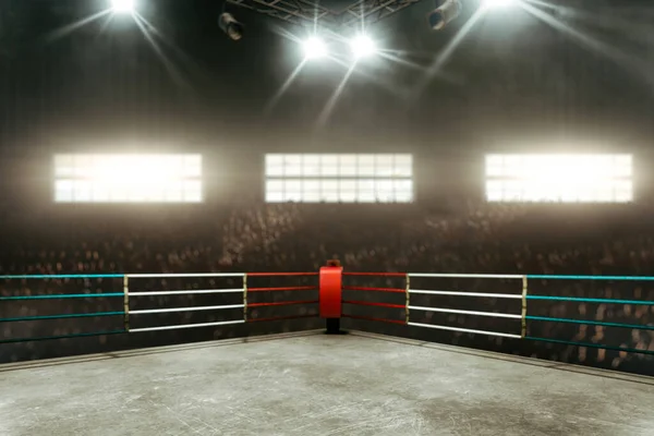 Spor salonunda boks ringleri boş..