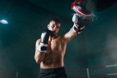 Profesyonel dövüşçü ringde..