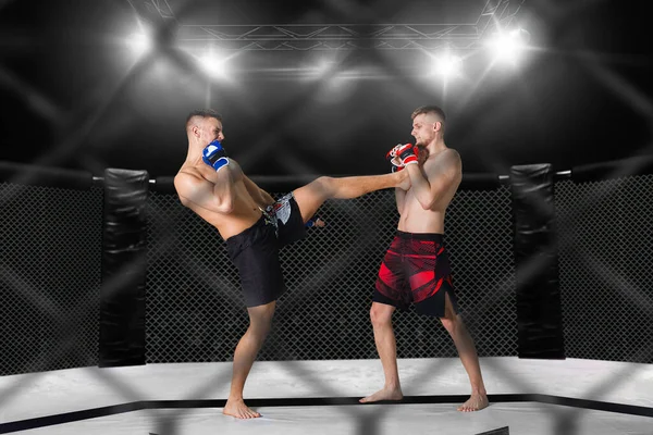 Професійні Бійці Рингу — стокове фото