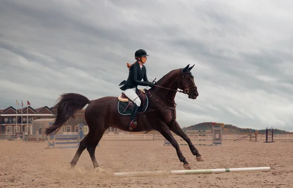 Sport Équestre Femme Cheval Équitation — Photo