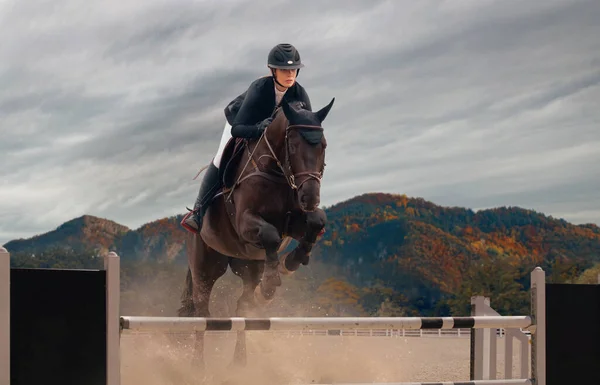 Sport Équestre Femme Cheval Équitation — Photo