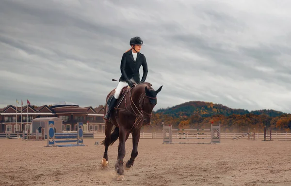 Sport Équestre Femme Cheval Équitation — Photo