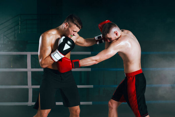 Professional fighters on ring.