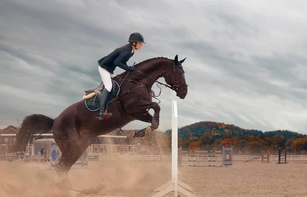 Sport Équestre Femme Cheval Équitation — Photo