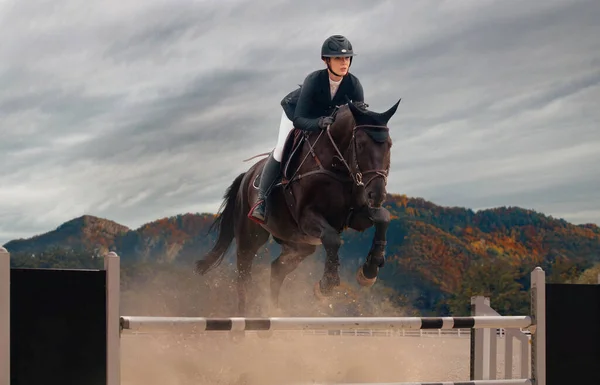 Sport Équestre Femme Cheval Équitation — Photo