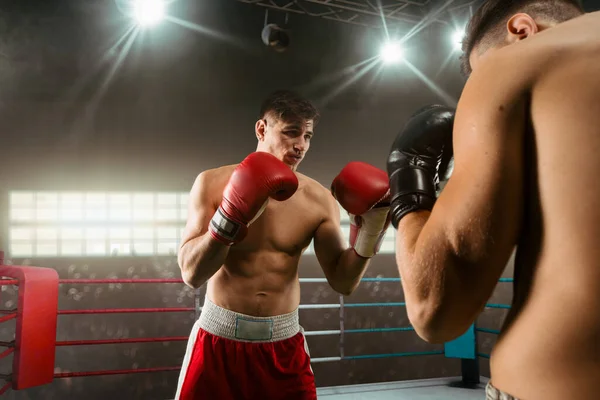二人の若い男ボクシング — ストック写真