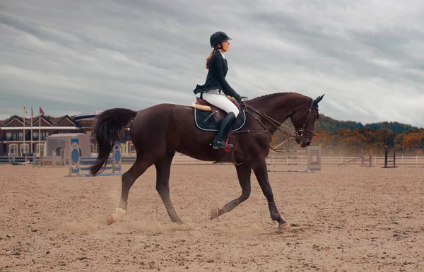 Equestrian Sport Woman Riding Horse — Stock Photo, Image