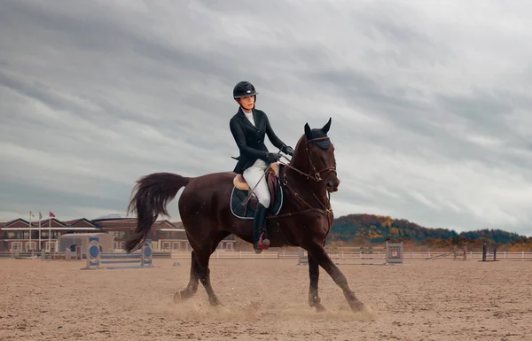 Hästsport Kvinnlig Ridhäst — Stockfoto