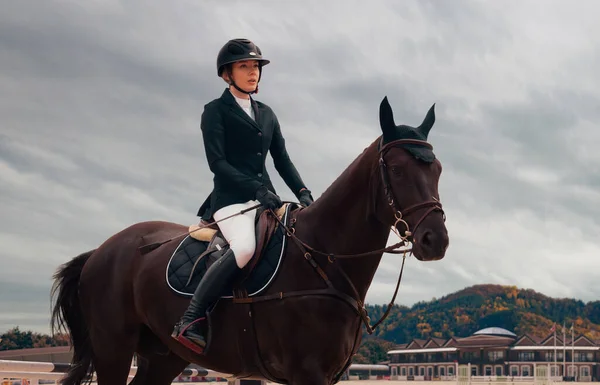 Sport Équestre Femme Cheval Équitation — Photo