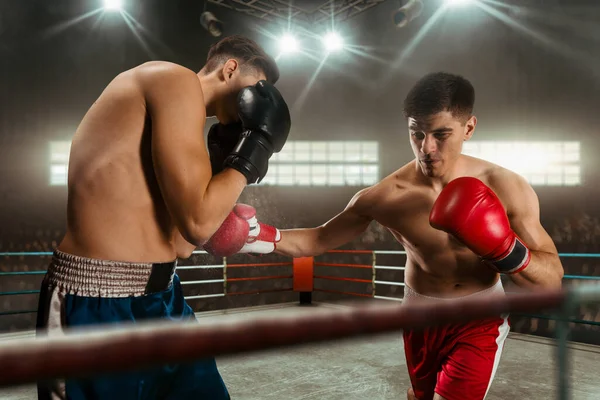 Dos Jóvenes Boxeando — Foto de Stock