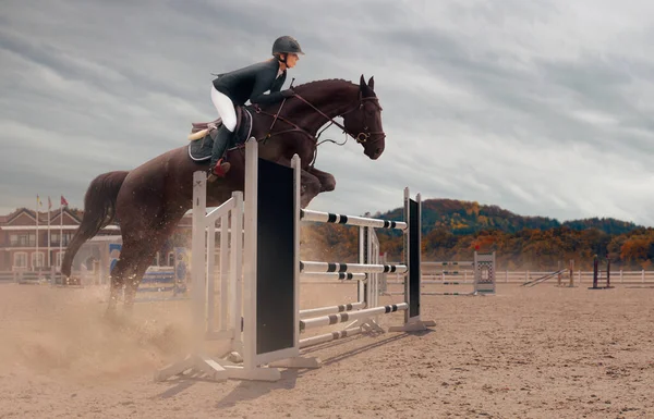 Sport Équestre Femme Cheval Équitation — Photo