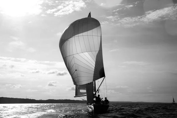 Segling Yacht Race Segling Segelregatta — Stockfoto