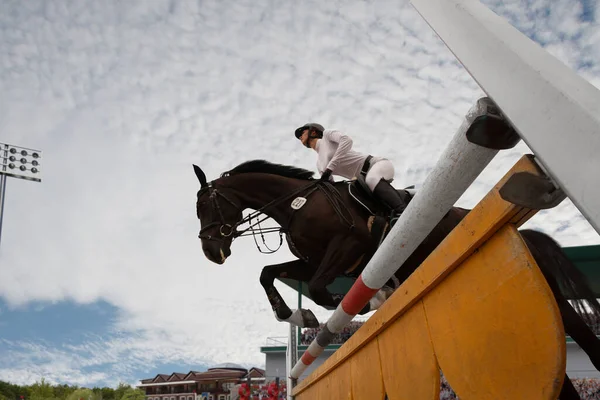 Sport Équestre Jeune Fille Monte Cheval Sur Championnat — Photo