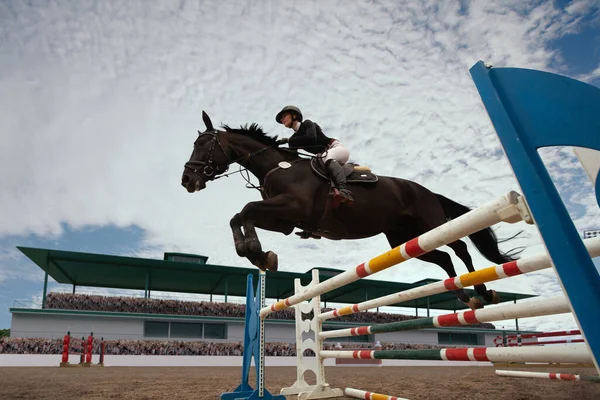 Sport Équestre Jeune Fille Monte Cheval Sur Championnat — Photo