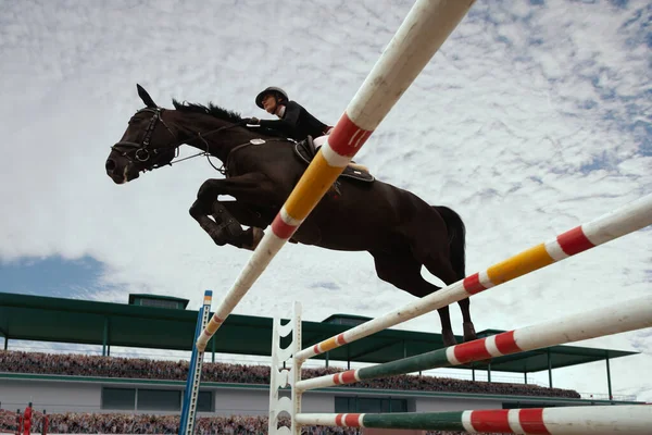 Pferdesport Junges Mädchen Reitet Bei Meisterschaft Auf Pferd — Stockfoto