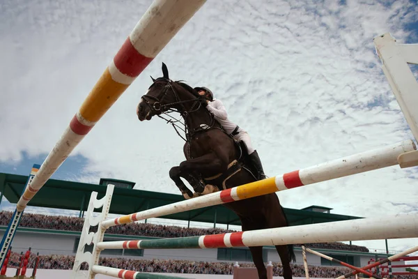 Pferdesport Junges Mädchen Reitet Bei Meisterschaft Auf Pferd — Stockfoto