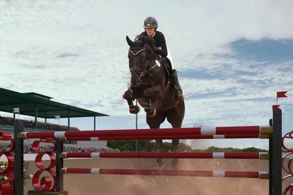 Equestrian Sport Young Girl Rides Horse Championship — Stock Photo, Image