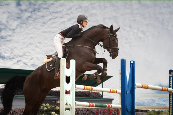 Equestrian sport. Young girl rides on horse on championship.