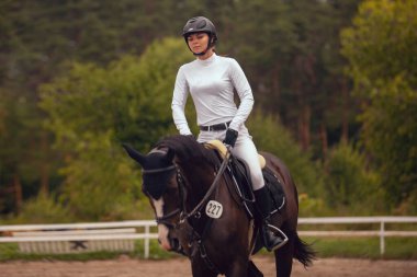 Binicilik sporu. Genç kız ata biniyor..