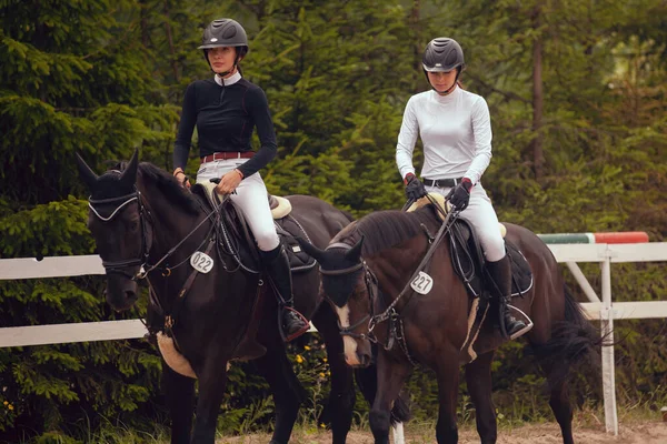 Sport Équestre Promenades Jeunes Filles Cheval — Photo