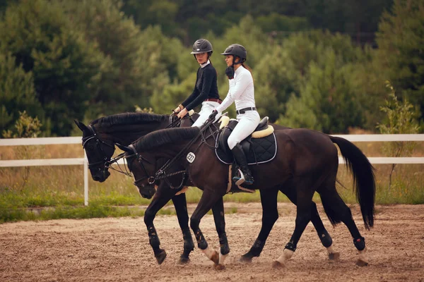 Sporty Jeździeckie Młoda Dziewczyna Jeździ Konno — Zdjęcie stockowe