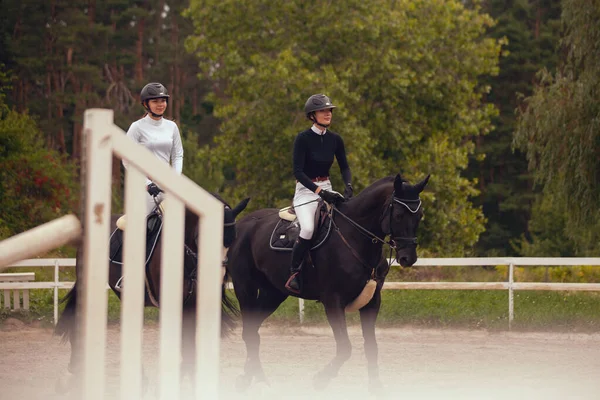 馬術スポーツ 馬に乗って若い女の子の乗り物 — ストック写真