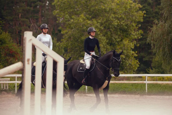 Sport Equestre Giovane Ragazza Cavalca Cavallo — Foto Stock