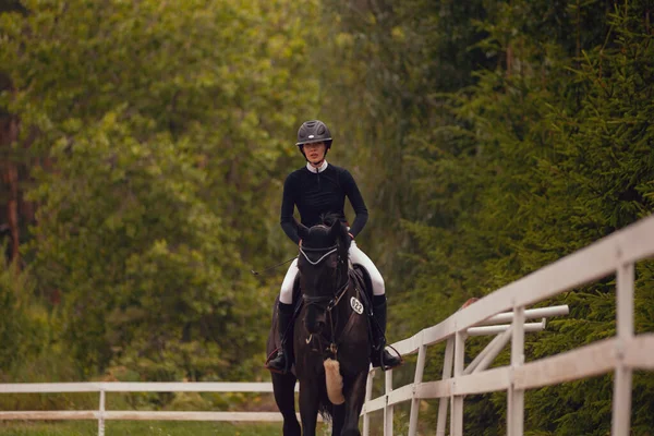 Ridsport Ung Flicka Rider Häst — Stockfoto