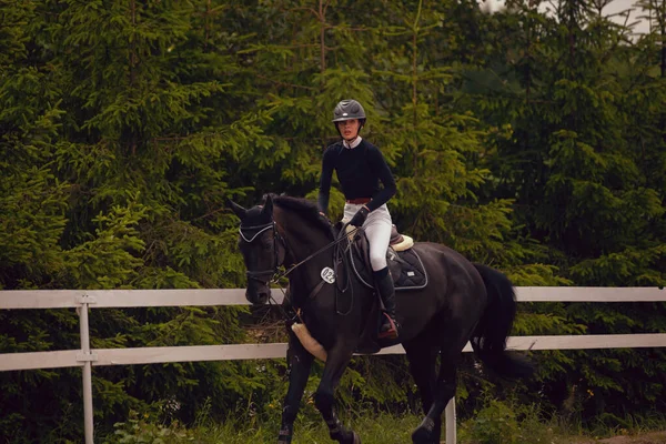 馬術スポーツ 馬に乗って若い女の子の乗り物 — ストック写真