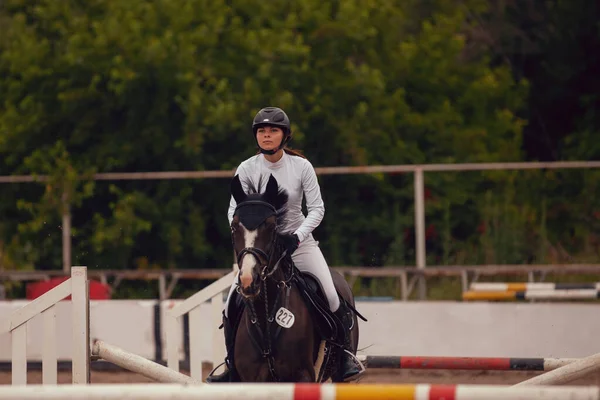 馬術スポーツ 馬に乗って若い女の子の乗り物 — ストック写真