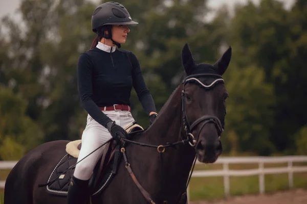 馬術スポーツ 馬に乗って若い女の子の乗り物 — ストック写真